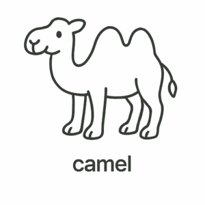 camel